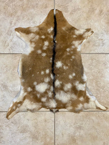 Exotic Goatskin Hide Leather Rug - Exact Goat Skin you will be receiving - ST2